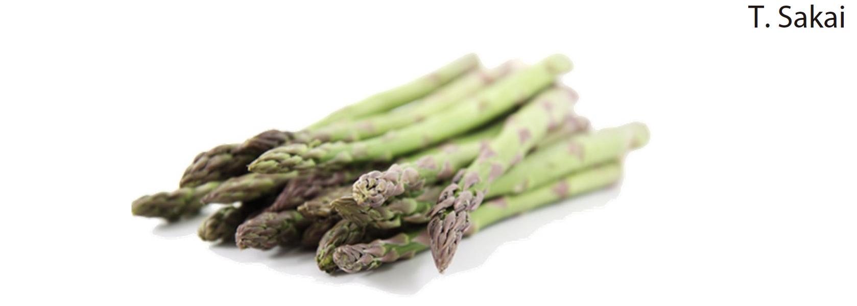 Figure-01-asparagus.png
